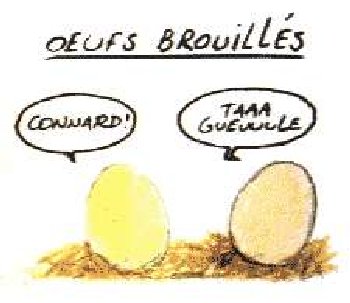 http://bric-a-brac.org/humour/images/alimentaire/oeuf.jpg